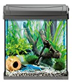 Aquarium