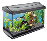 Tetra AquaArt Discovery Line