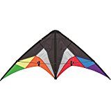 Lenkdrachen