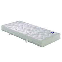 Irisette Lotus 03888350132