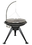 Schwenkgrill