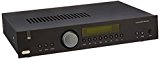 Arcam A19