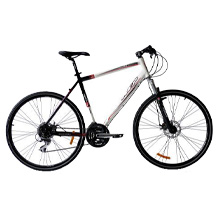 Fitnessbike