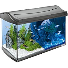 Tetra AquaArt Discovery Line LED