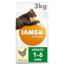 Iams Katzenfutter