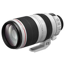 Canon EF 100-400mm f/4.5-5.6L IS II