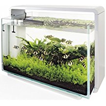 SuperFish Aquarium