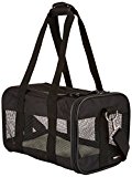 Amazon Basics Katzentransportbox