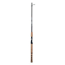 Ugly Stik Spinnrute