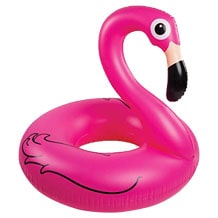 BigMouth Flamingo