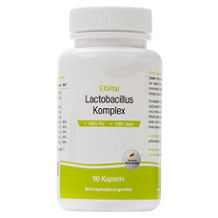 Exvital Lactobacillus Komplex