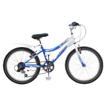 20-Zoll-Kinderfahrrad