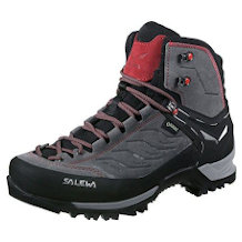 Salewa MTN Trainer Mid GTX