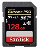 SanDisk SDSDXXG-128G-GN4IN