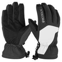 Herren Skihandschuhe