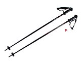 Komperdell Skistöcke