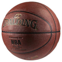 Spalding 76-014Z