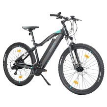 Fitifito Elektro-Mountainbike