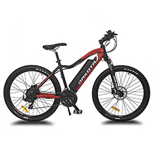 Urbanbiker Elektro-Mountainbike