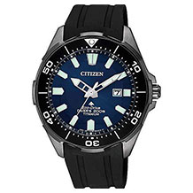 Citizen BN0205-10L