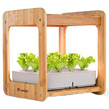 Blumfeldt Urban Bamboo