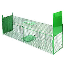 MaxxGarden Marderlebendfalle
