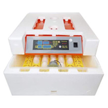 Campo24 Inkubator
