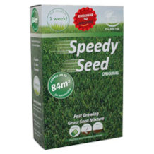 pronto seed Rasensamen