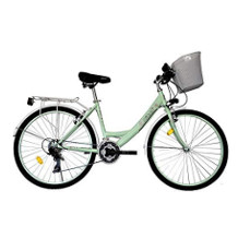 T&Y Trade Citybike