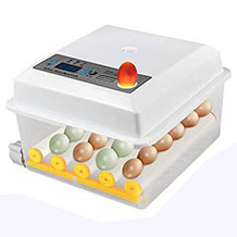 SEAAN Brutmaschine