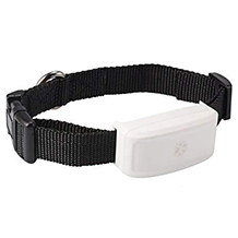 Zeerkeer GPS-Katzenhalsband