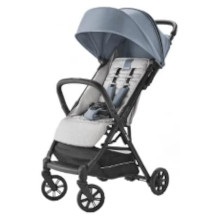 Reisebuggy