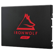Seagate IronWolf 125