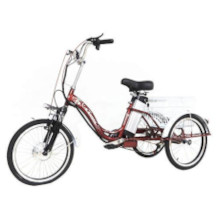 Dongshan E-Bike-Dreirad