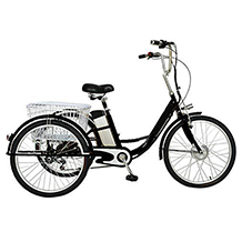 Dongshan E-Bike-Dreirad