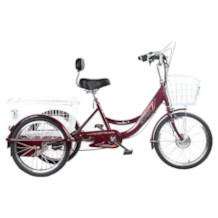 Dongshan E-Bike-Dreirad
