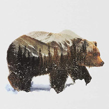 WLOT Diamond Painting