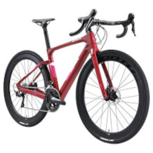 SAVADECK Gravelbike
