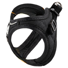 Tierhood Katzengeschirr