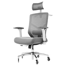 ELITESEATS ergonomischer Bürodrehstuhl