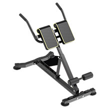 DH FitLife Rückentrainer