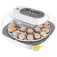 Sailnovo Brutmaschine