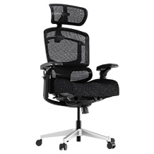 Flexispot ErgoX Pro