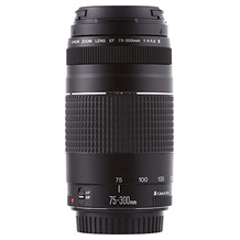 Canon EF 75-300mm F4.0-5.6 III