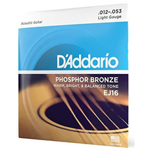 D'Addario EJ16