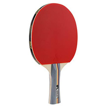 Joola Tischtennisschläger