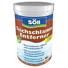 Söll 80631