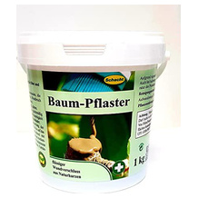 Schacht Baumwachs