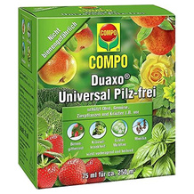 Compo 17784