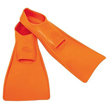 Flipper SwimSafe 1100